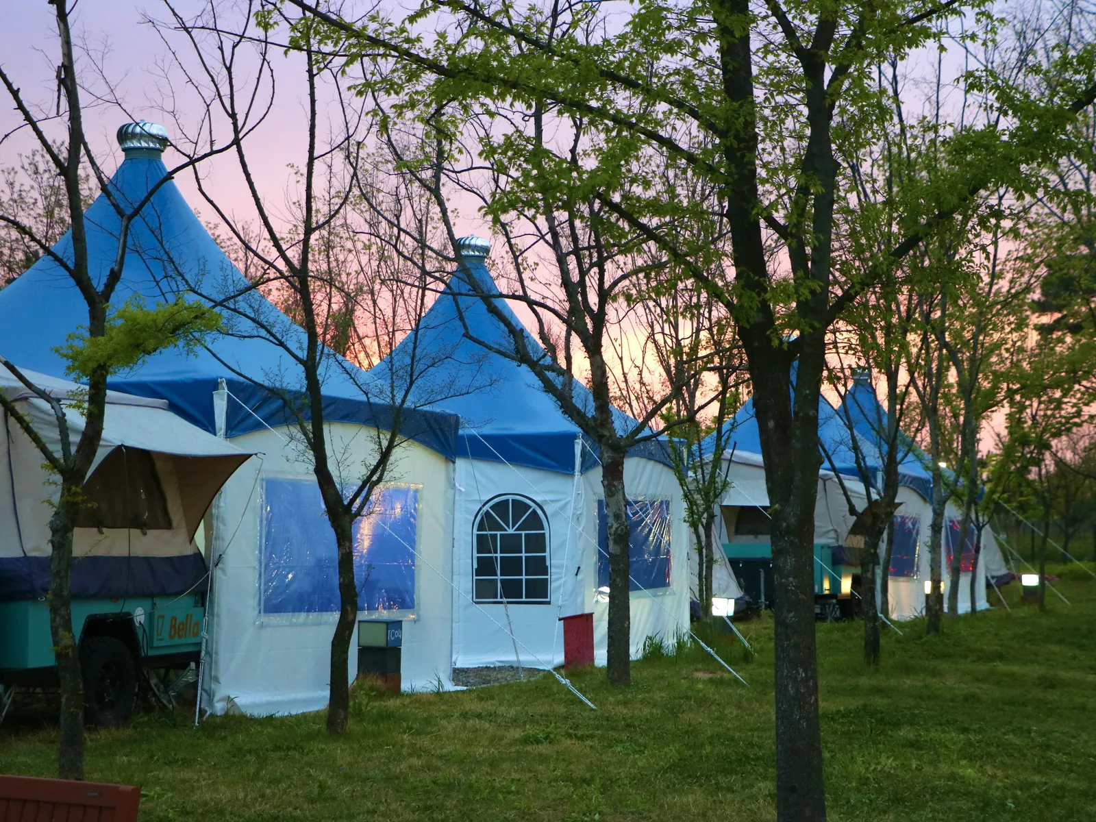 TC존 사이트